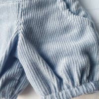 Blue corduroy shorts