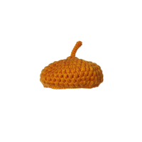 A pumpkin beret